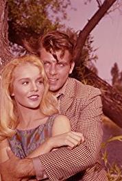 The Dick Powell Show Special Assignment (1961–1963) watch online HD