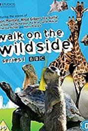 Walk on the Wild Side Episode #2.3 (2009–2010) watch online HD