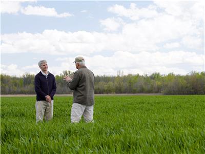 Beyond Is Genesis History? The Design of Earth & Stars: Wheat Field & Reelfoot Lake, TN (2017– ) watch online HD