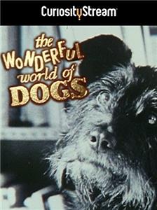 Mark Lewis Documentaries The Wonderful World of Dogs (1999) watch online HD