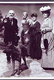 Pistols 'n' Petticoats A Wagonload of Wives (1966–1967) watch online HD