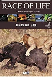 Race of Life Underwater Prey's Defenses (2015– ) watch online HD