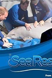 Sea Rescue Small But Mighty (2012– ) watch online HD