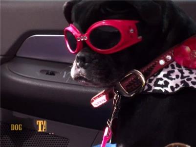Storage Wars: Texas Flight of the GrumbleBee (2011– ) watch online HD