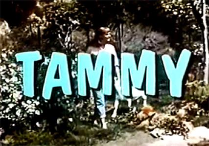Tammy  watch online HD