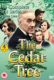 The Cedar Tree The Party Spirit (1976– ) watch online HD