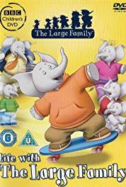 The Large Family No Place Like Home (2006– ) watch online HD