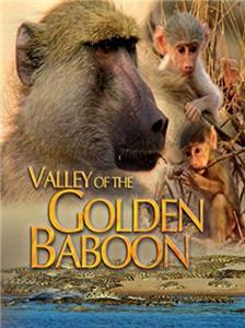 Valley of the Golden Baboon (2004) watch online HD