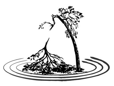 A Tree Fell Today (2019) watch online HD