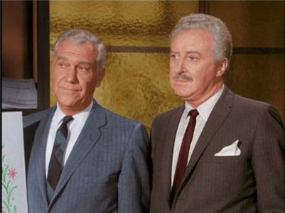 Bewitched The Cat's Meow (1964–1972) watch online HD