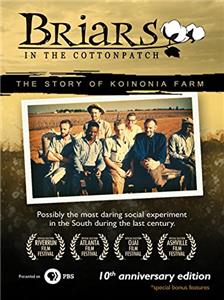 Briars in the Cotton Patch: The Story of Koinonia Farm (2003) watch online HD