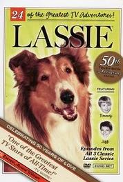 Lassie The Convict (1954–1974) watch online HD