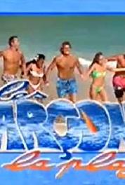 Les garçons de la plage Un vrai roman (1994–1995) watch online HD