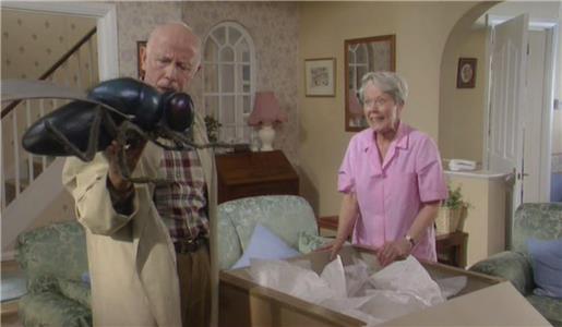 One Foot in the Grave The Futility of the Fly (1990–2001) watch online HD