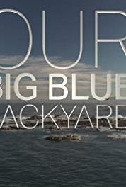 Our Big Blue Backyard Stewart Island (2014– ) watch online HD
