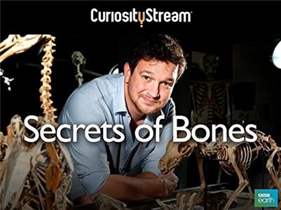 Secrets of Bones  watch online HD
