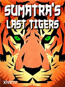 Sumatra's Last Tigers (2010) watch online HD