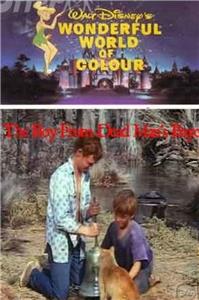 The Boy from Dead Man's Bayou (1971) watch online HD