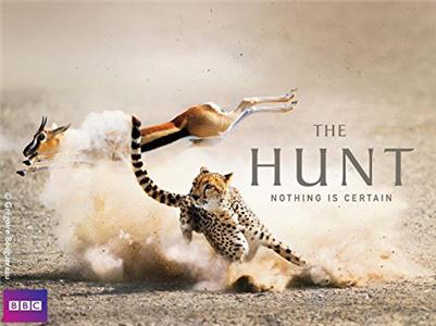 The Hunt Living with Predators (Conservation) (2015) watch online HD