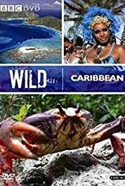 Wild Caribbean Treasure Islands (2007– ) watch online HD