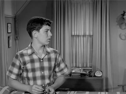 Beaver Un-Togetherness (1957–1963) watch online HD