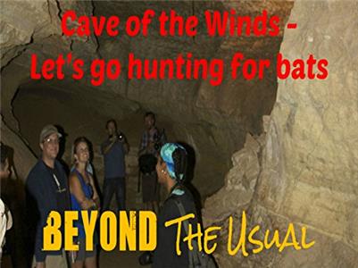 Beyond the Usual Bat Hunting in the Cave of the Winds (2017– ) watch online HD