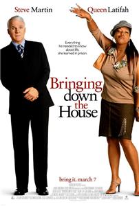 Bringing Down the House (2003) watch online HD