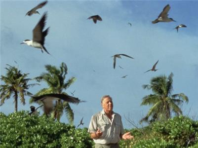 Das Leben der Vögel Finding Partners (1998– ) watch online HD