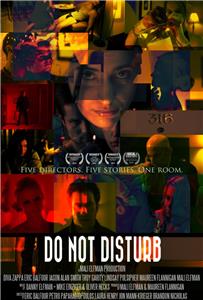 Do Not Disturb (2010) watch online HD