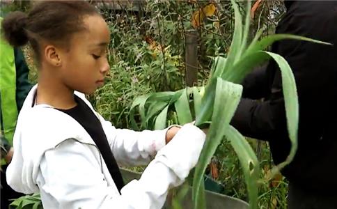 Inside California Education Edible Schoolyard (2017– ) watch online HD