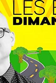 Les bons dimanches Stéphane Fallu & Seb Ouellet (2017– ) watch online HD