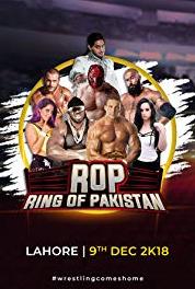 Pro Wrestling Entertainment: PWE Episode #1.3 (2017– ) watch online HD