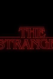 The Stranger The Hunt (2019– ) watch online HD