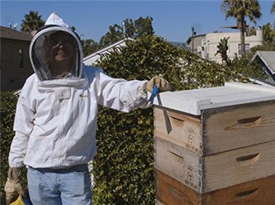 60 Second Docs Urban Beekeeping (2017– ) watch online HD