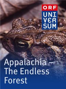 Appalachia: The Endless Forest (2005) watch online HD