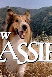 La nueva Lassie Occurrence at Glen Ridge (1989–1992) watch online HD
