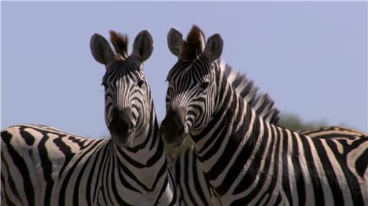 Moving Art Africa (2014–2017) watch online HD