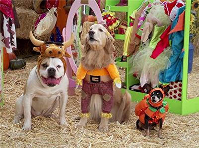 Mutt & Stuff Goat in 60 Seconds! (2015– ) watch online HD