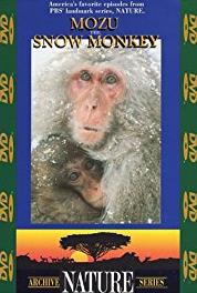 Nature Land of the Eagle: The First and Last Frontier (1982– ) watch online HD