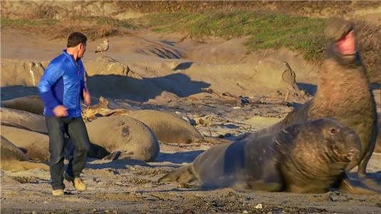 Supergiant Animals (2013) watch online HD