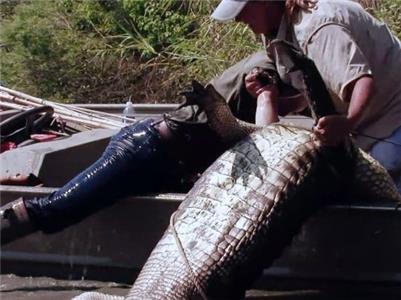 Swamp People Never Say Die (2010– ) watch online HD