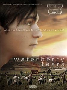 Waterberry Tears (2010) watch online HD