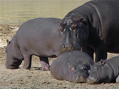 Waterworld Africa Precious Waters (2015–2016) watch online HD