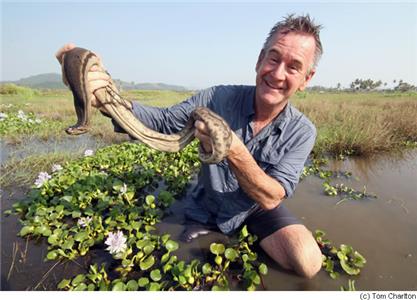 Ten Deadliest Snakes with Nigel Marven Malaysia (2014– ) watch online HD