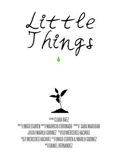 The Little Things (2015) watch online HD