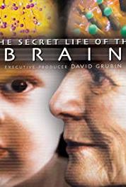 The Secret Life of the Brain Losing Control (2002– ) watch online HD