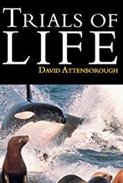 The Trials of Life Finding the Way (1990– ) watch online HD