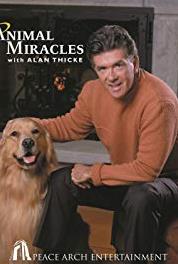 Animal Miracles Castaway (2001– ) watch online HD