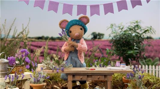 Daisy & the Gumboot Kids Lavender Bunch (2018) watch online HD