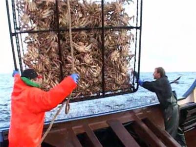 Deadliest Catch On the Crab (2005– ) watch online HD